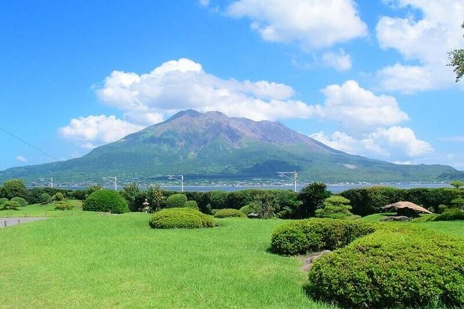 Kagoshima Full-Day Private Tour with Government-Licensed Guide - Kagoshima Castle ruins: Tsurumaru, Shimadzu power, and the quiet drama of ruins