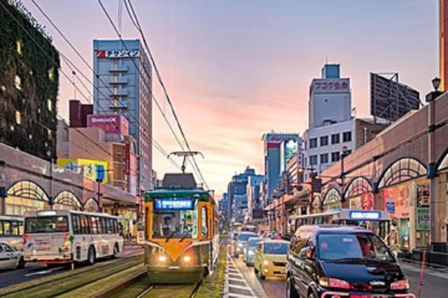 Kagoshima Half-Day Sightseeing Tour - Where You Start: Kagoshima Chuo Station East Exit Meeting Point