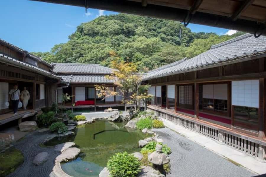 Kagoshima Half-Day Sightseeing Tour - Price and Value: What $96 Buys You Here