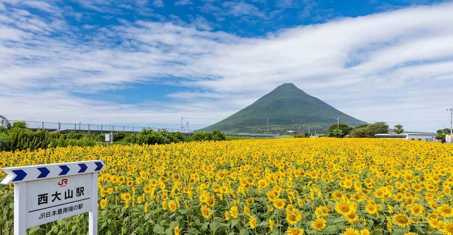 Kagoshima: Ibusuki City and Mount Kaimon Dake Tour - Should you book this Ibusuki and Mount Kaimon Dake tour?