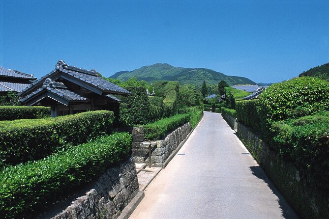 Kagoshima Private & Custom Tour with Licensed Guide and Vehicle - Kagoshima is ideal for a private custom half-day