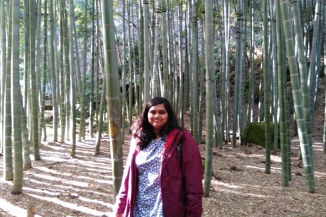 Kamakura 4hr Private Trip with Government-Licensed Guide - Zen Temples Circuit: Engaku-ji and Kencho-ji to Anchor Your Day