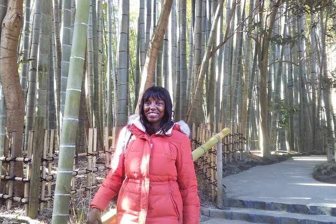 Kamakura 6hr Private Walking Tour with Government-Licensed Guide - Hasedera and Hokokuji: Ocean Views and Bamboo Quiet