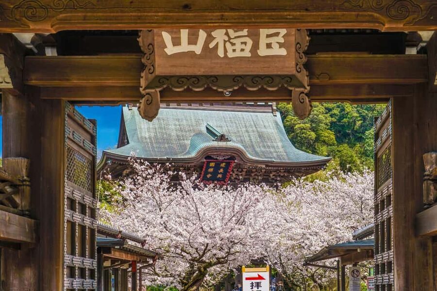 Kamakura: A Journey Through Medieval Japan (Walking Tour) - Key things that make this Kamakura tour worth it