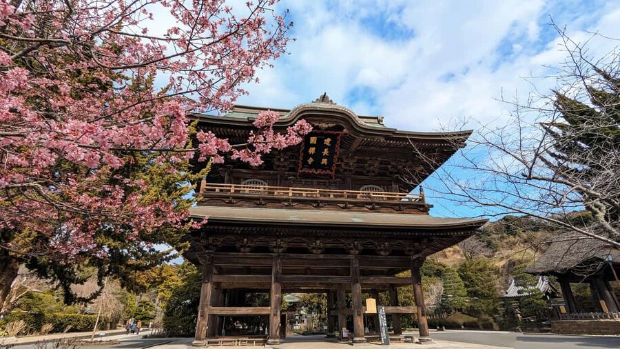 Kamakura: A Journey Through Medieval Japan (Walking Tour) - Price and logistics: $35 sounds cheap, but here is what you should budget