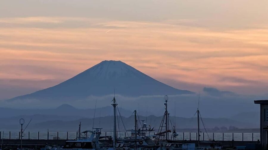 Kamakura: A Journey Through Medieval Japan (Walking Tour) - Enoshima on the 8-hour option: holiness, kitsch, and cliffside views