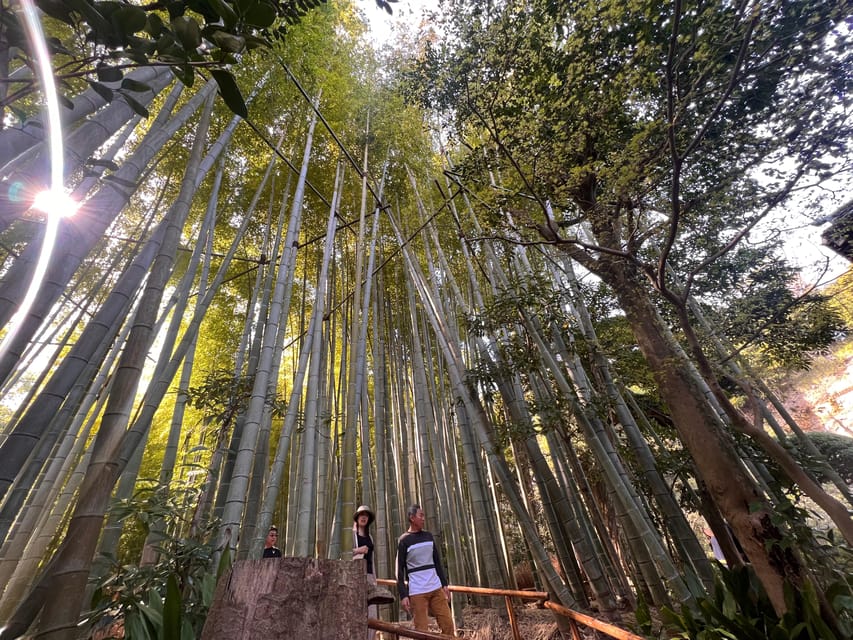 Kamakura and Enoshima: Private Guided Day Tour with Vehicle - Key takeaways before you go