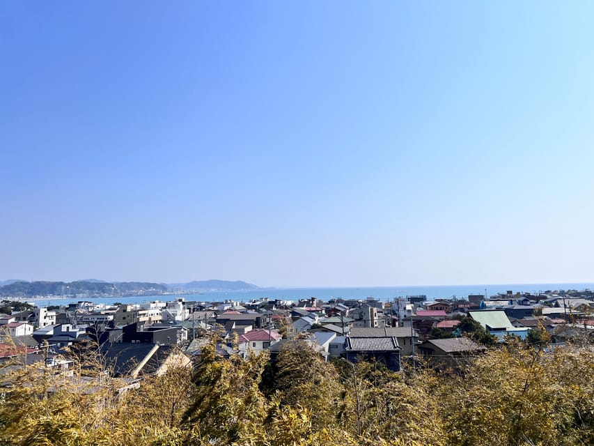 Kamakura and Enoshima: Private Guided Day Tour with Vehicle - Hase-dera Temple: gardens, Kannon, and coastline views