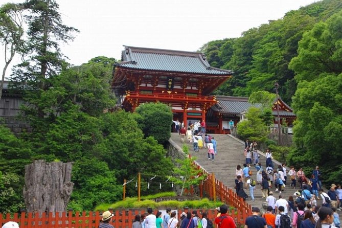 Kamakura Bamboo Forest and Great Buddha Private Tour - How Much Walking to Plan For (Knees and Energy Check)
