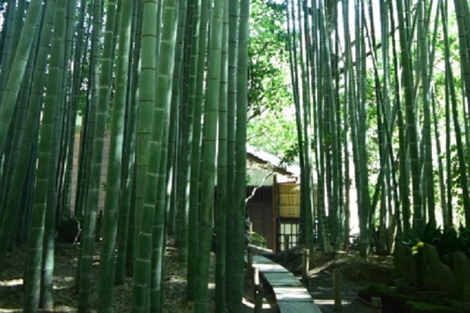 Kamakura Bamboo Forest and Great Buddha Private Tour - The Guide Factor: When English Clarity Changes Everything