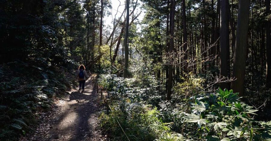 Kamakura: Daibutsu Hiking Trail Tour with Local Guide - Key points that matter before you go