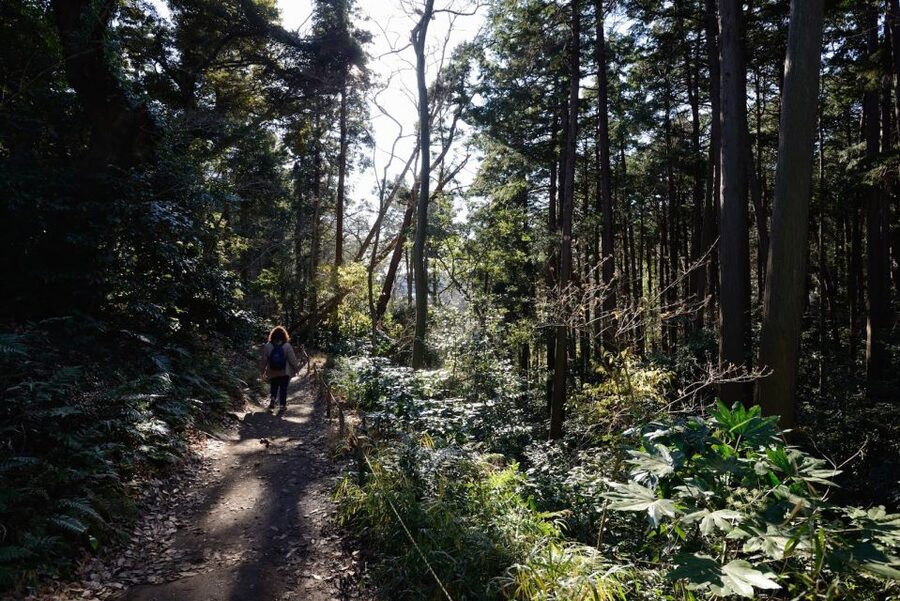 Kamakura: Daibutsu Hiking Trail Tour with Local Guide - Kamakura in 6 Hours, why the Daibutsu Trail is the smart focus