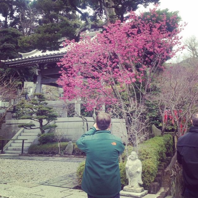 Kamakura: Great Buddha, Hase Temple, & Komachi Street Tour - Hase-dera temple stroll: hydrangeas, wish-making, and prayer details