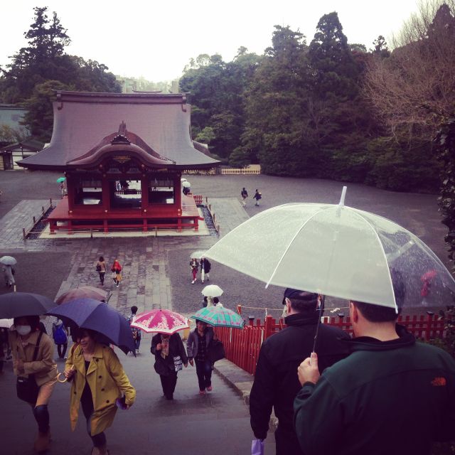 Kamakura: Great Buddha, Hase Temple, & Komachi Street Tour - Getting around all day: timing, walking, and what to bring