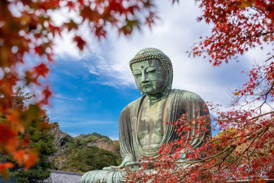 Kamakura Half Day Tour with a Local Expert Guide - Key things I think you’ll enjoy most