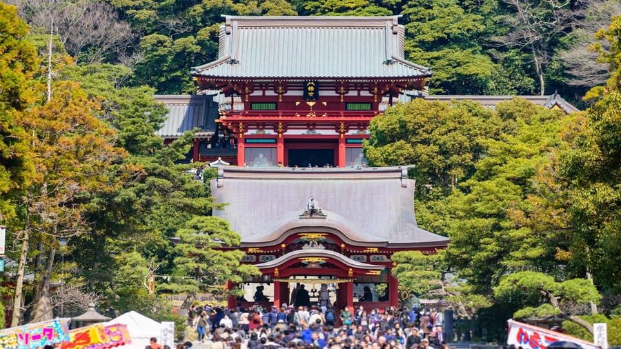 Kamakura Half Day Tour with a Local Expert Guide - Half-Day, Real-Walking Kamakura From Tokyo or Local Pickup