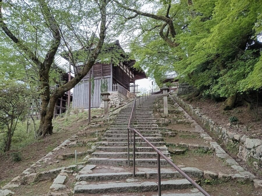 Kamakura Half Day Tour with a Local Expert Guide - Parks, Scenic Views, and the Joy of Not Rushing