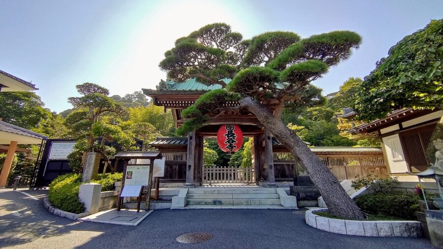 Kamakura Half Day Tour with a Local Expert Guide - Price and Value at $87 for a Guided Half-Day
