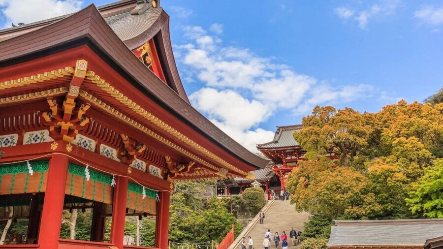 Kamakura Half Day Tour with a Local Expert Guide - What to Know Before You Start Walking
