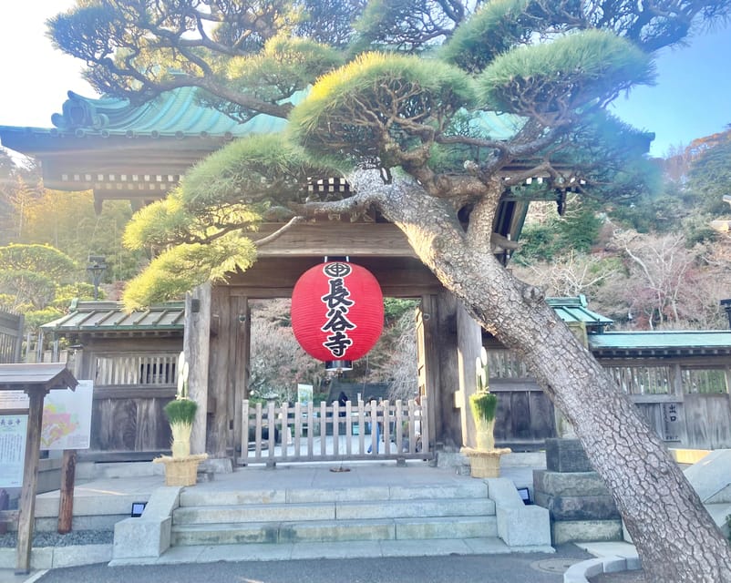 Kamakura: Half day Walking tour & Japanese sweets - Who this tour suits best, and who should skip it