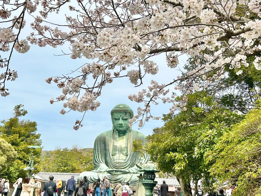 Kamakura: Half day Walking tour & Japanese sweets - Local back streets and shopping that feel like real Kamakura