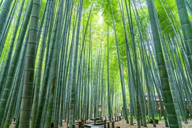 Kamakura Heritage Bike or Walk Tour with ex-Rickshaw guide - Why Kamakura works so well in a half-day