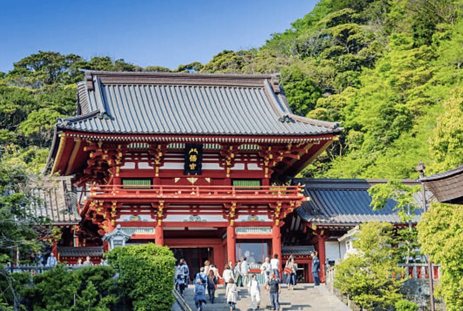 Kamakura Private Custom Tour with Local Guide - Hokokuji Bamboo Forest: Calm Walks, Not a Photo Marathon