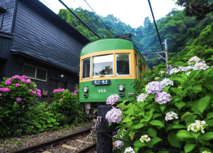 Kamakura Private Custom Tour with Local Guide - Public Transportation Pace, With a Request Option for a Private Vehicle
