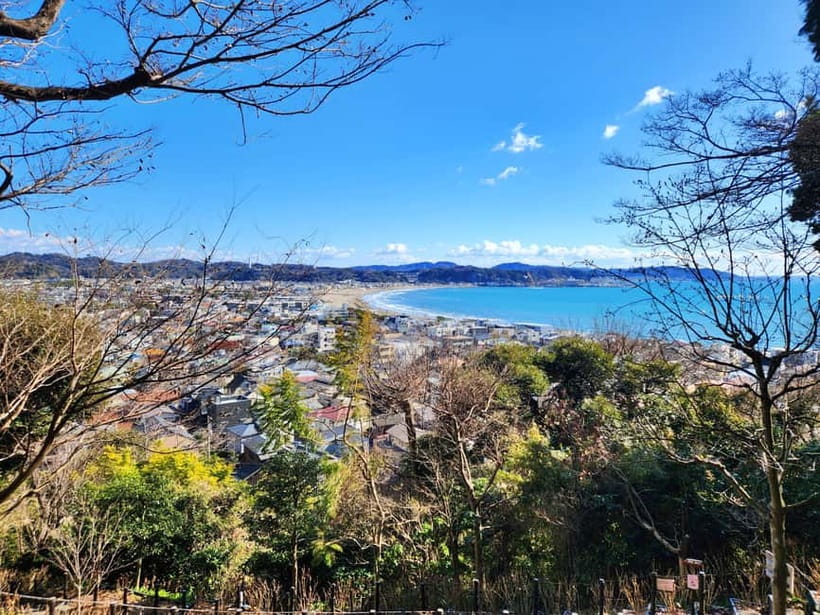 Kamakura Private & Customizable Tour - All-in-One Experience - Hachimangu and shrine culture: why the stories matter