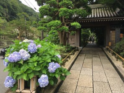 Kamakura: Private History and Heritage Tour by Rickshaw