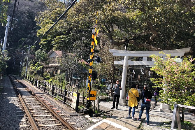 Kamakura Scenic Bike Tour - Chikaramochiya, then Yuigahama beach, plus a farmers market worth planning around