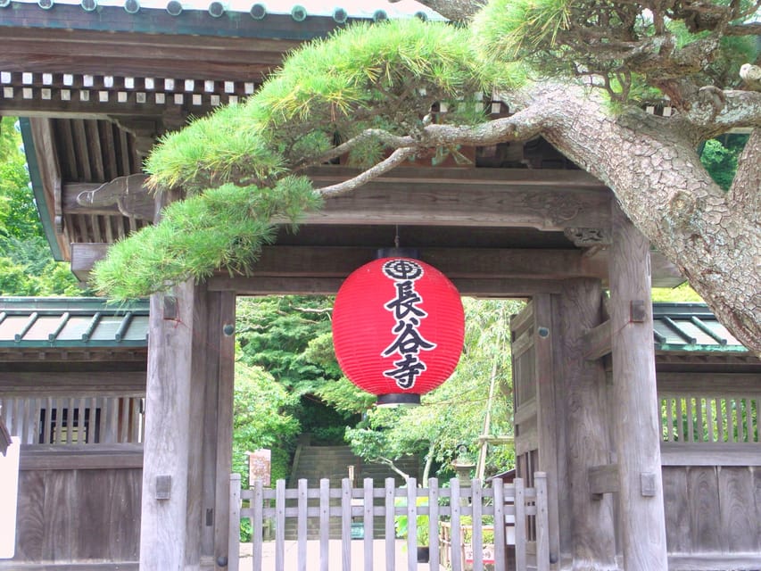 Kamakura Temples Private Guided Tour from Tokyo - Tsurugaoka Hachimangu Shrine, Emperor Ojin, and the calm of a full stop