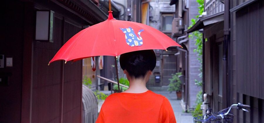 Kanazawa: Half-Day Private Guided Tour - Your Guide Is the Real Difference, From Nozomi to Ai