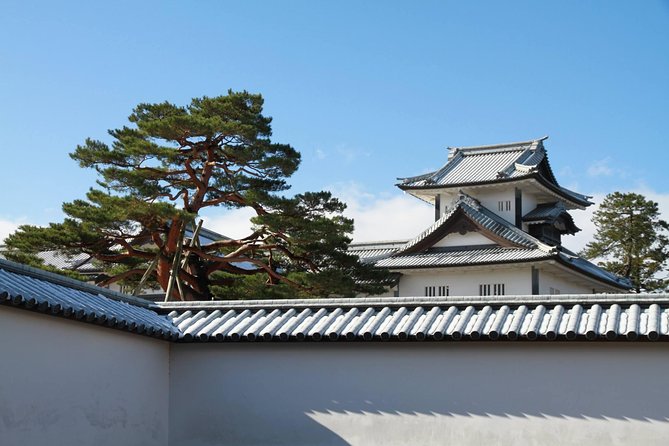 Kanazawa Half Day Tour (Private Guide) - Stop 3: Higashi Chaya District, culture in the back streets