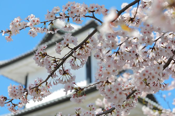 Kanazawa private half day/Photoshoot by professional photographer - Ochaya Shima (optional 15 minutes): adds context if you want it