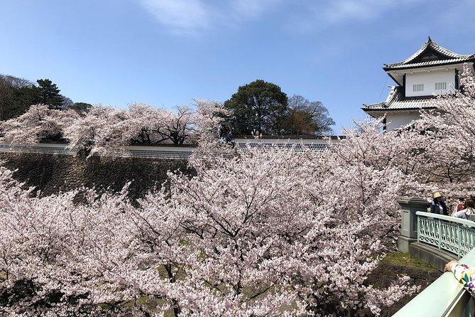 Kanazawa Private Tour: Highlights of an Old Samurai Town - Kenrokuen Garden: One Hour to Read the Seasons
