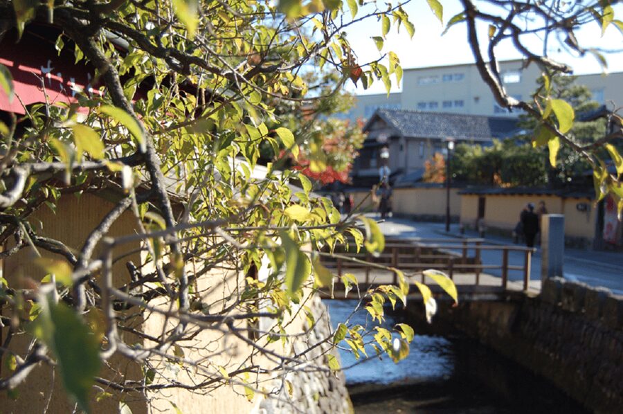Kanazawa: Samurai Residence Remains Nomura Family admission - How to Respect the House: Shoes, Touch Rules, and Photography Limits
