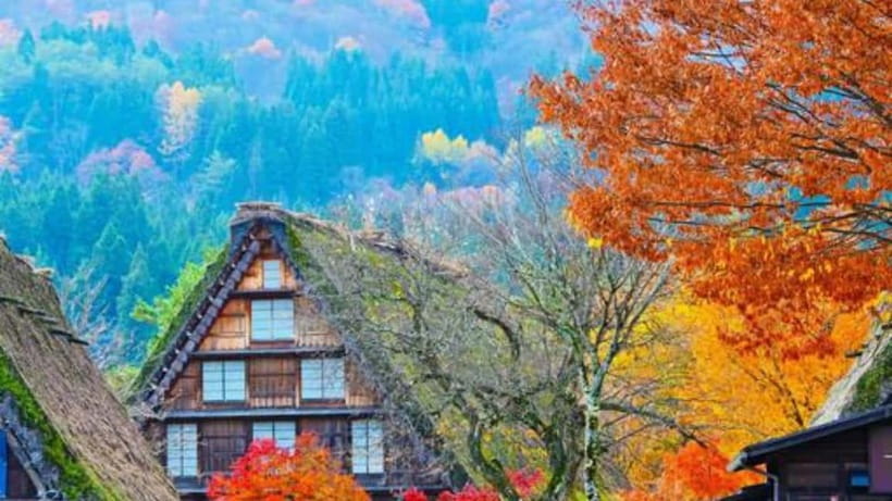 Kanazawa/Takayama: Shirakawago & Takayama Private Day Tour - Why this Kanazawa-Takayama loop is such smart use of a travel day