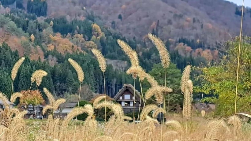 Kanazawa/Takayama: Shirakawago & Takayama Private Day Tour - Shirakawa-go: thatched roofs, viewpoint time, and walking like you mean it