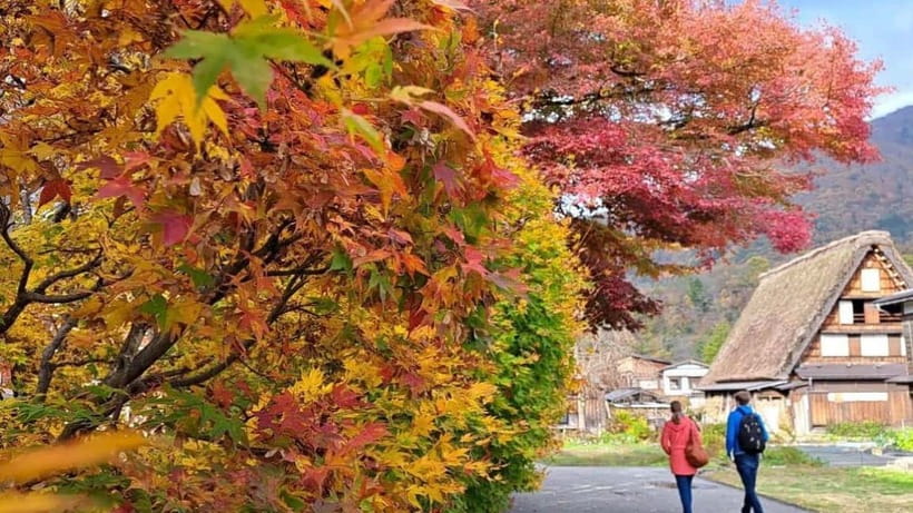 Kanazawa/Takayama: Shirakawago & Takayama Private Day Tour - The van ride: comfort, safety, and why pickup options matter