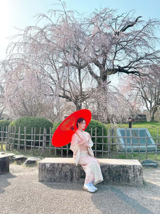 Kanazawa:Traditional Experience -kimono rent at wargo - Arriving at WARGO and getting your kimono fitted on site