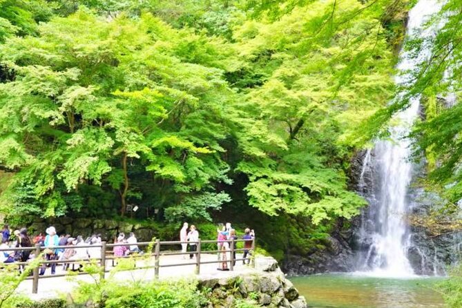 Katsuo-ji Temple, Arashiyama Forest, & Nara Park - Nara Park deer time: where your day turns memorable