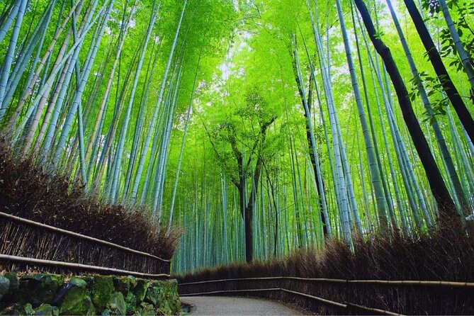 Katsuo-ji Temple, Arashiyama Forest, & Nara Park - Price and value: why $91.65 can make sense