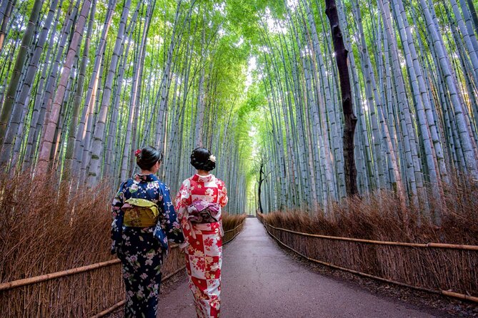 Katsuo-ji Temple, Arashiyama Forest, & Nara Park - The kimono add-on warning: check your booking before you pay