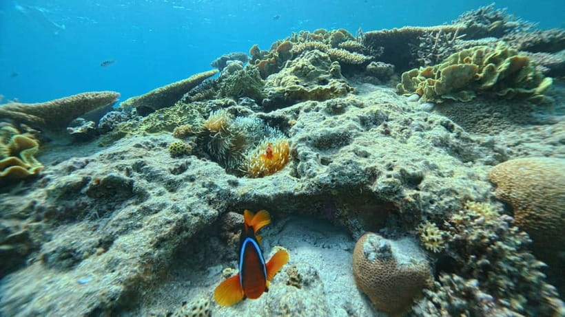 Kerama Half-Day Snorkeling Tour - The banana boat ride: simple thrills with fair turn-taking