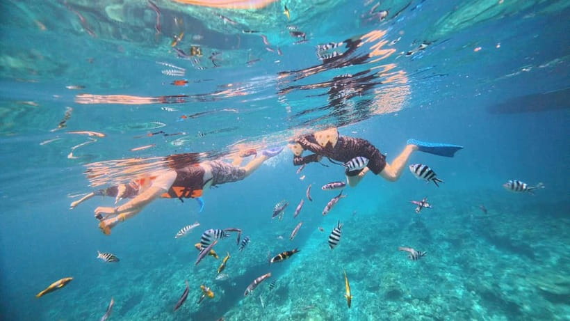 Kerama Half-Day Snorkeling Tour - Snorkeling gear and comfort: the small stuff to bring