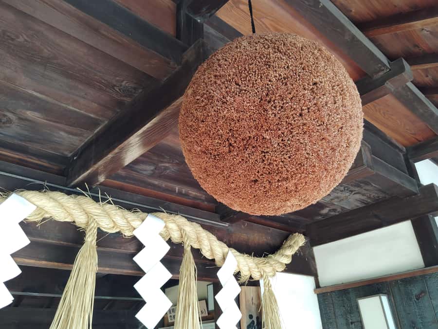 Kobe: 3-Hour Sake Breweries Tour with Special Tasting - Comfort, heat, and what to wear for walking between breweries