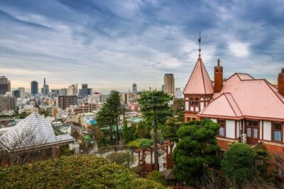 Private Custom Tour (Excursion to Osaka / Kyoto possible)