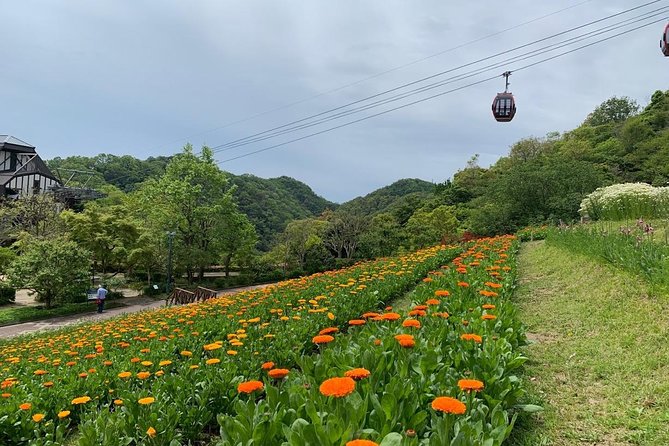 Kobe private tour from Osaka (Shore excursion available from Osaka or Kobe port) - Hakutsuru Sake Brewery Museum: Learning Sake Like It’s a Craft