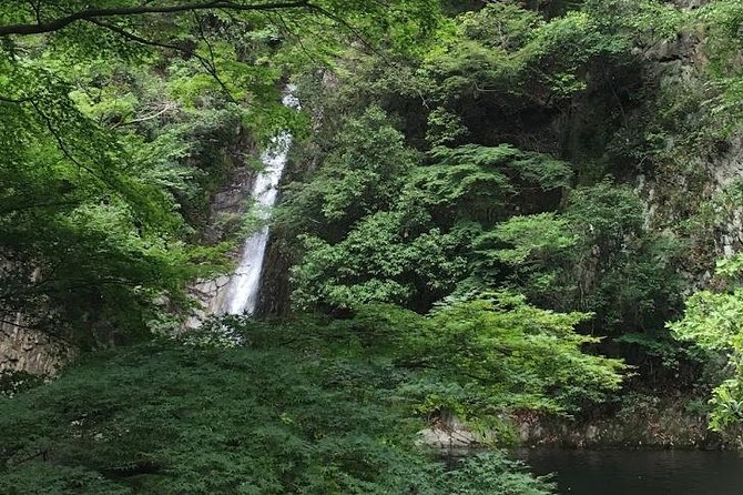 Kobe private tour from Osaka (Shore excursion available from Osaka or Kobe port) - How the Private Setup Helps Your Day Actually Work